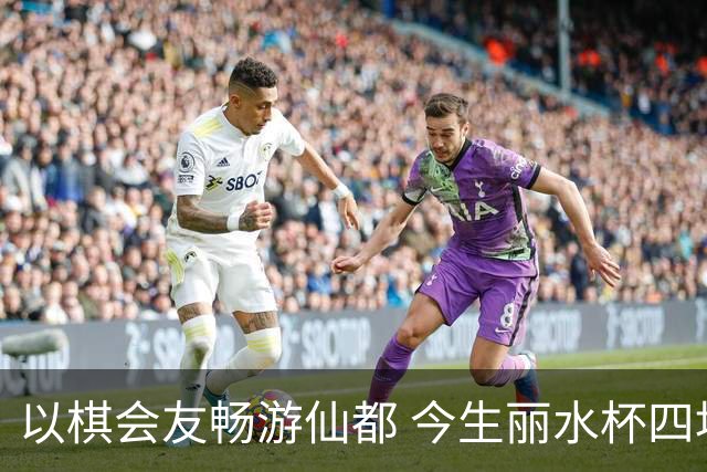 以棋会友畅游仙都 今生丽水杯四地围棋交流活动圆满落幕